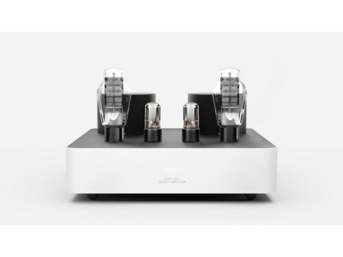 Fezz Mira Ceti 300B Mono Power Amplifier Pair Republika