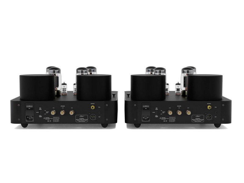 Fezz Olympia Tube (KT88) Mono Power Amplifier Pair Black - Image 4