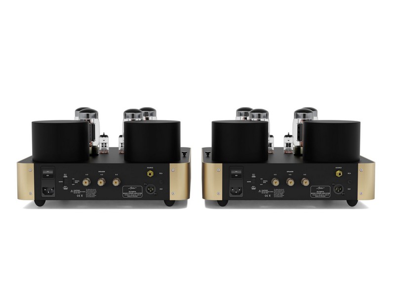 Fezz Olympia Tube (KT88) Mono Power Amplifier Pair Sunlight - Image 4