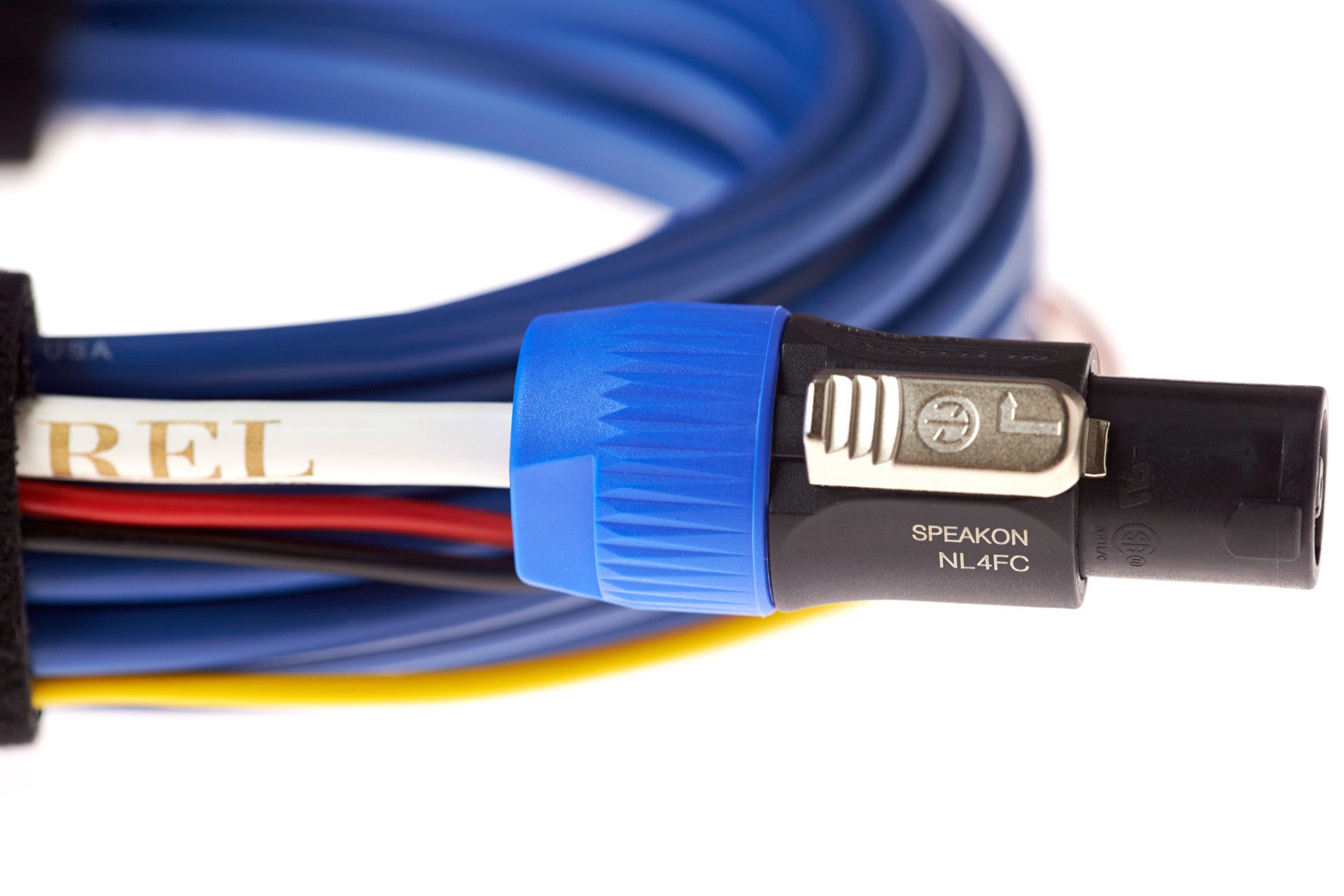 BassLine Blue - Image 2