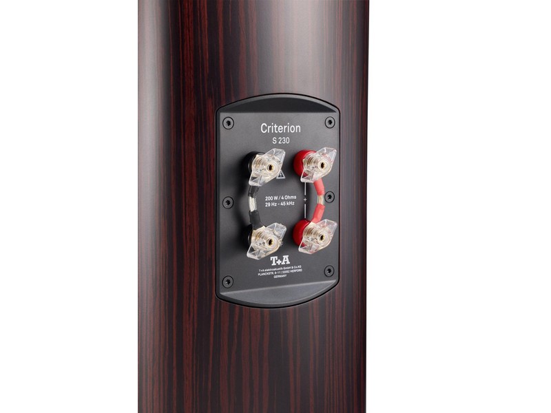 T+A Criterion S 230 Floorstanding Speaker Pair Makassar - Image 4