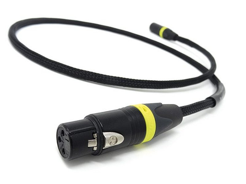 The CHORD Company Signature Super ARAY AES/EBU